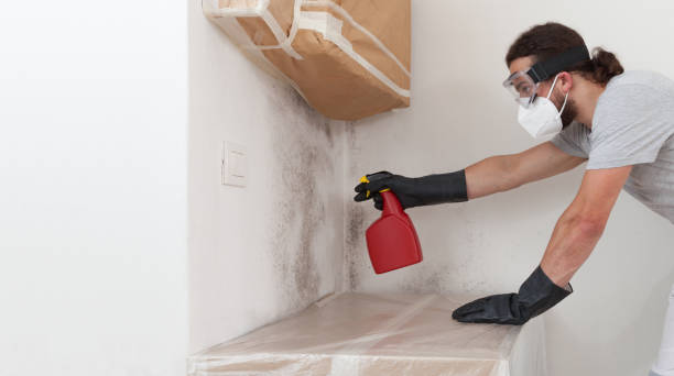 Professional Mold Remediation technician working in Bloomington, TX