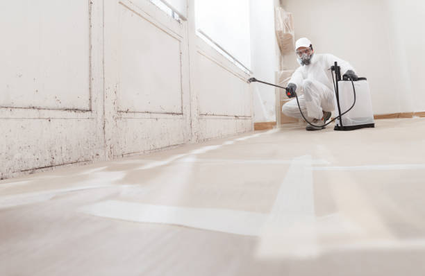24/7 Emergency Mold Remediation experts in Bloomington, TX