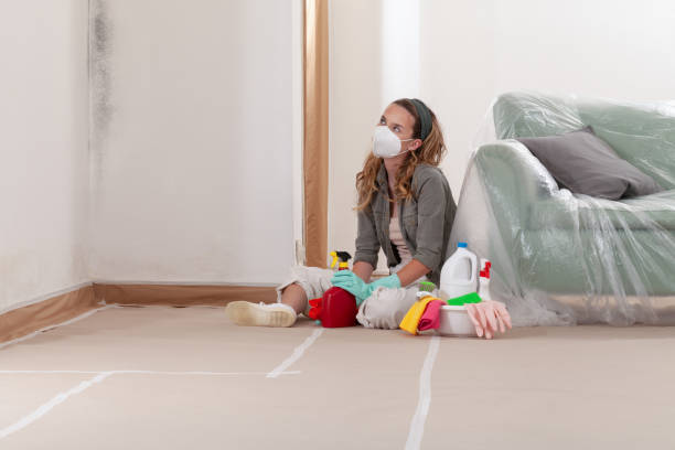 Reliable Mold Remediation contractor in Bloomington, TX by Car Mold Remediation
